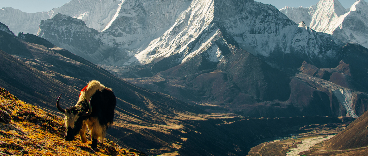 Great Himalayan National Park