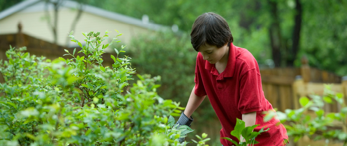 Exploring Local Cuisine and Organic Farms